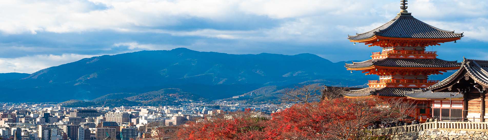 Emily McAuliffe Japan.jpg